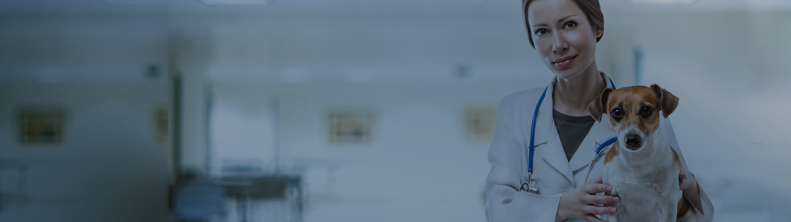 Medicina Veterinária