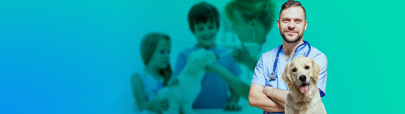 Clínica Médica de Cães e Gatos